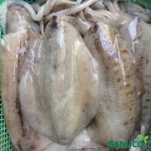 MỰC LÁ 4-6 CON /KG