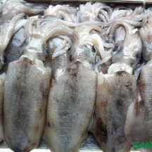 MỰC LÁ 4-6 CON /KG thumb