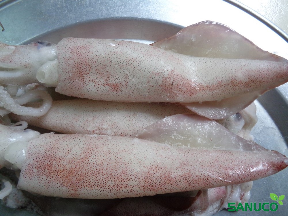 MỰC ỐNG CÓ ĐẦU 5-6 CON /KG LÀM SẠCH