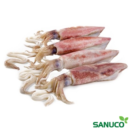 MỰC ỐNG CÓ ĐẦU 5-6 CON /KG LÀM SẠCH